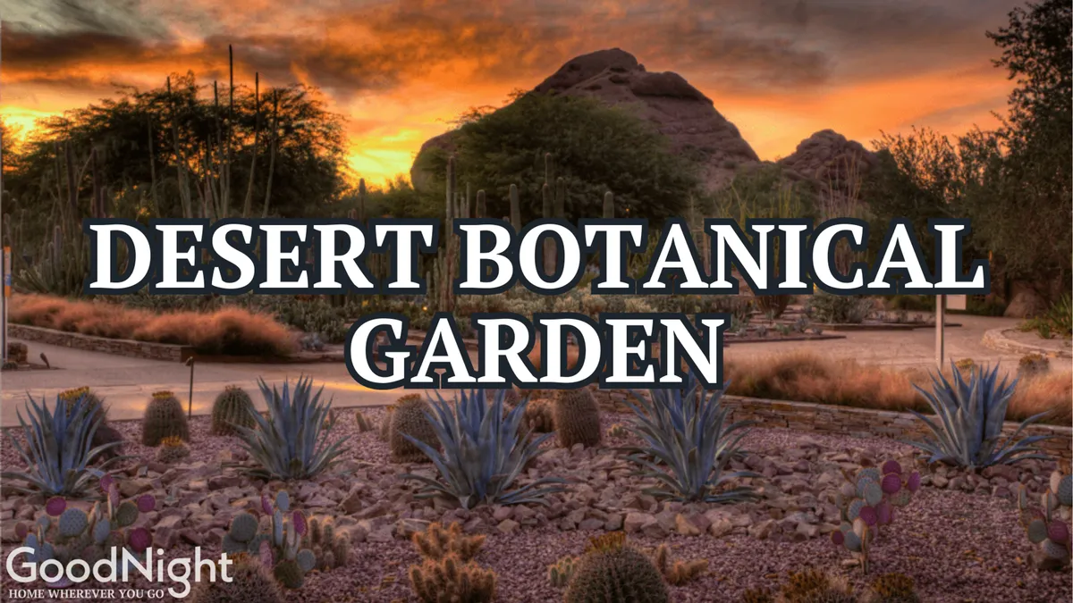A serene sunset scene at the Desert Botanical Garden, showcasing distinctive desert plants and rock formations illuminated in soft, golden light. The landscape is tranquil, inviting, and distinctly Arizonan.