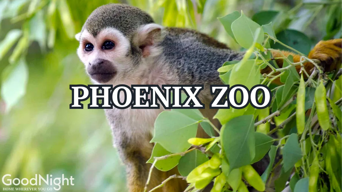 A playful squirrel monkey sits amidst lush green foliage at the Phoenix Zoo, with vibrant leaves and a sense of lively outdoor exploration. The image exudes a joyful, family-friendly atmosphere, perfect for sparking curiosity in children.